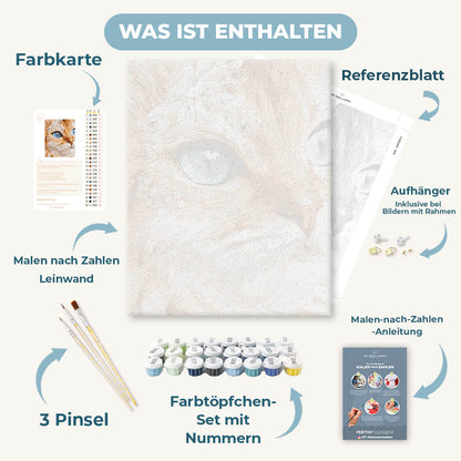 Malen nach Zahlen - Kristall-Schnurrhaare