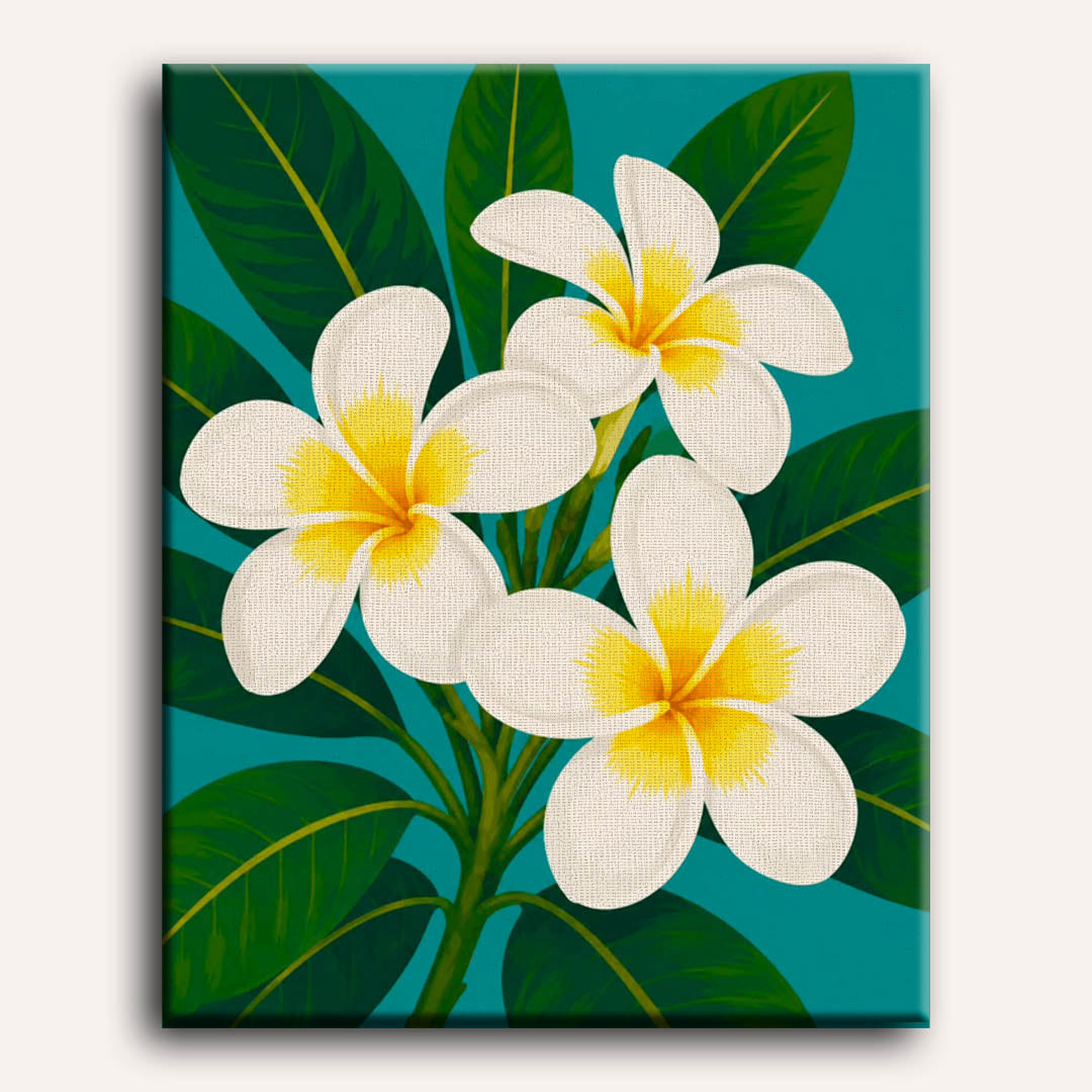 Malen nach Zahlen - Frangipani-Blüten