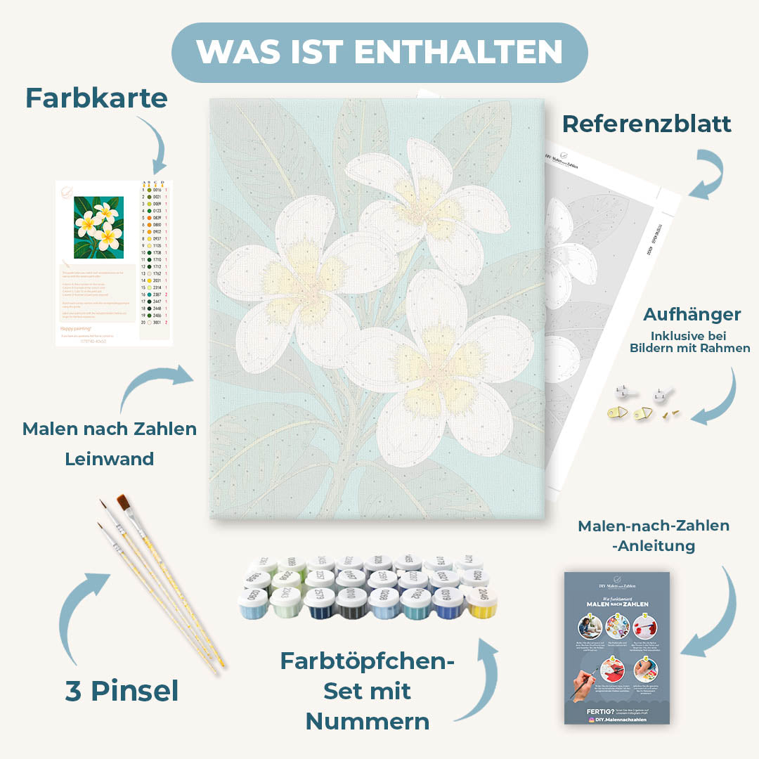 Malen nach Zahlen - Frangipani-Blüten