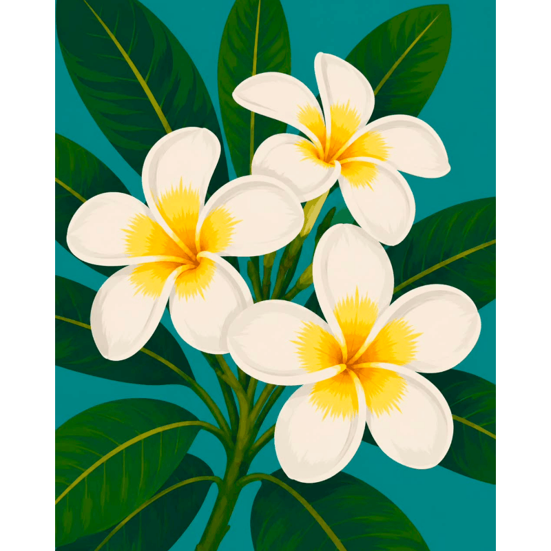 Malen nach Zahlen - Frangipani-Blüten - Malen nach Zahlen