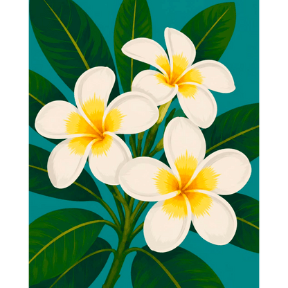 Malen nach Zahlen - Frangipani-Blüten - Malen nach Zahlen