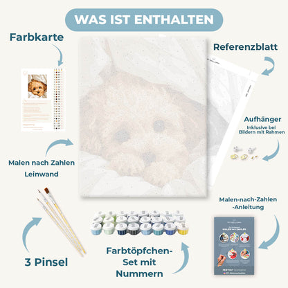 Malen nach Zahlen - Gemütliche Pfoten