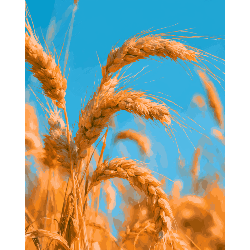 Malen nach Zahlen - Goldene Ernte - Malen nach Zahlen