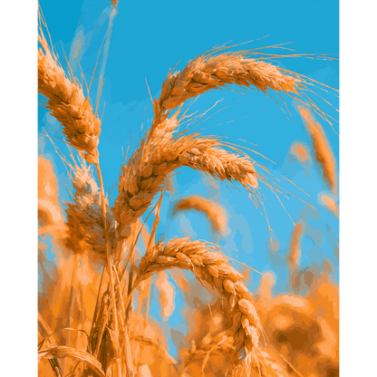 Malen nach Zahlen - Goldene Ernte - Malen nach Zahlen