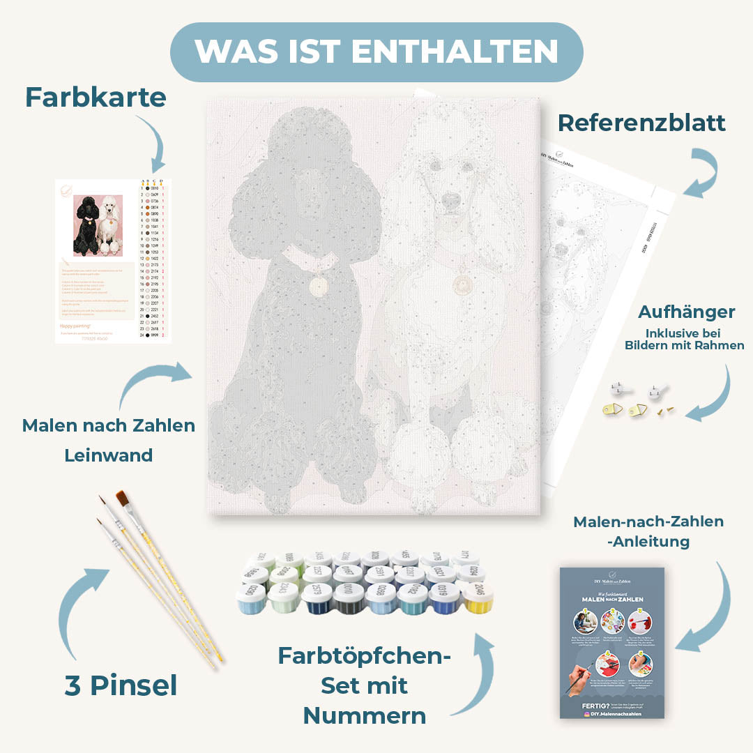 Malen nach Zahlen - Pudel-Prestige