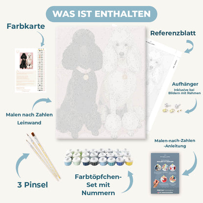 Malen nach Zahlen - Pudel-Prestige