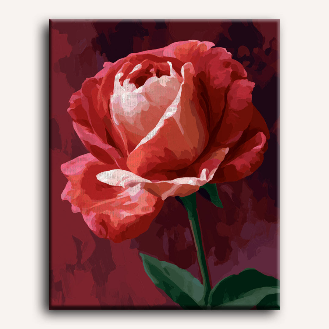 Malen nach Zahlen - Purpurrote Rose
