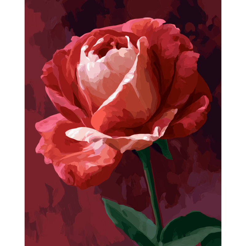 Malen nach Zahlen - Purpurrote Rose - Malen nach Zahlen