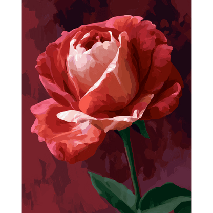 Malen nach Zahlen - Purpurrote Rose - Malen nach Zahlen