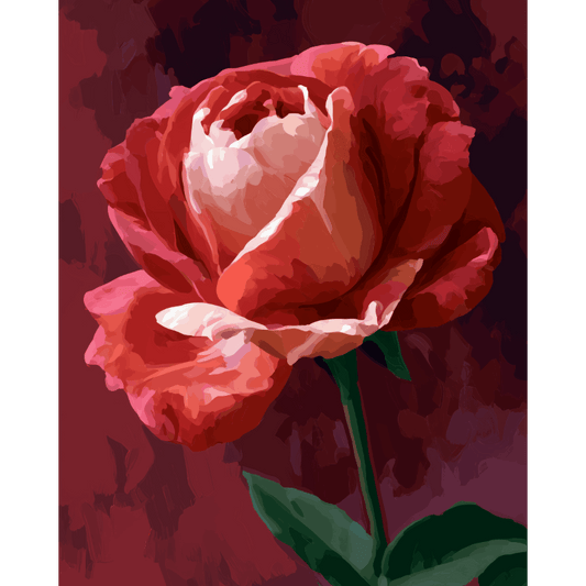 Malen nach Zahlen - Purpurrote Rose - Malen nach Zahlen