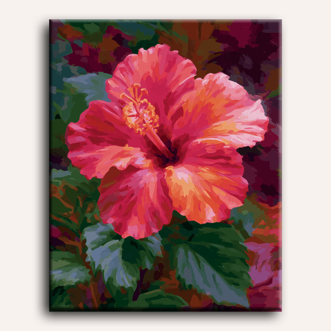 Malen nach Zahlen - Korallen-Hibiskus