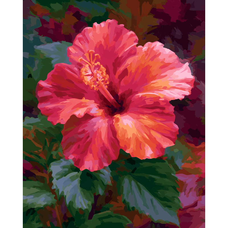 Malen nach Zahlen - Korallen-Hibiskus - Malen nach Zahlen