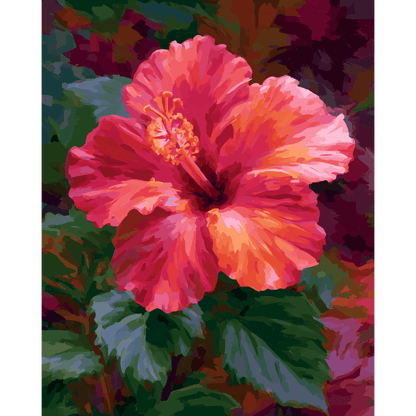 Malen nach Zahlen - Korallen-Hibiskus - Malen nach Zahlen