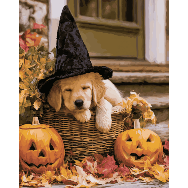 Malen nach Zahlen - Nickerchen-Zauber - Malen nach Zahlen