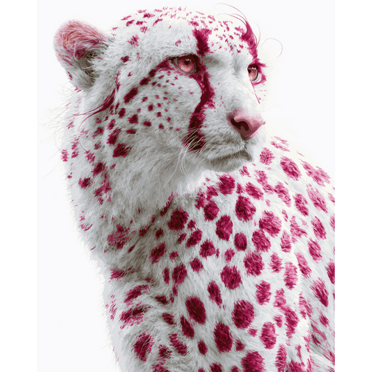 Malen nach Zahlen - Himbeer-Gepard - Malen nach Zahlen