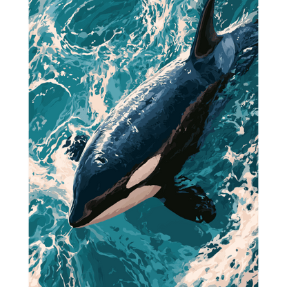 Malen nach Zahlen - Orca-Liebe - Malen nach Zahlen