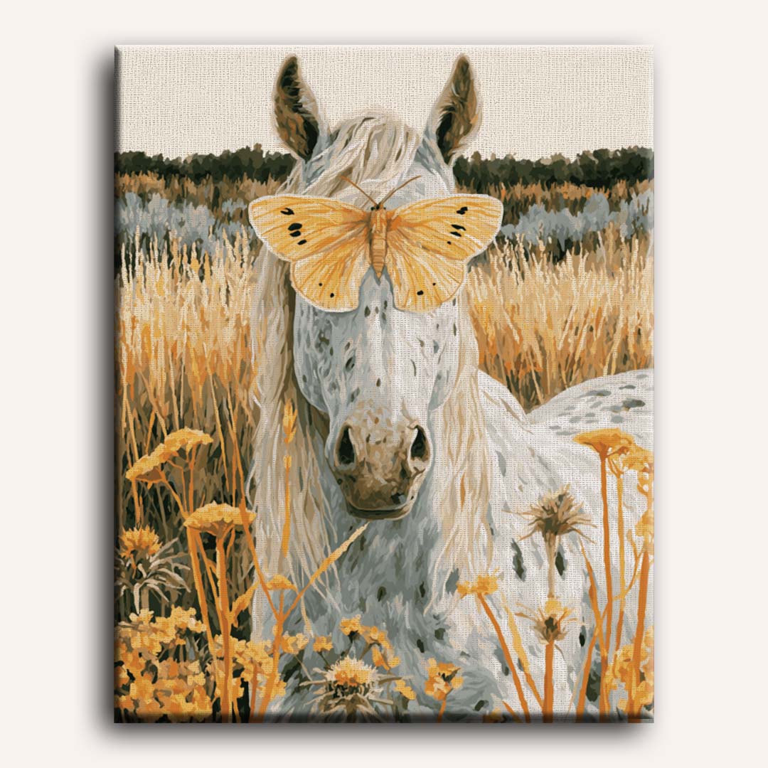Malen nach Zahlen - Pferd in den Wildblumen