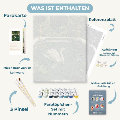 Malen nach Zahlen - Schwan im grünen Pool