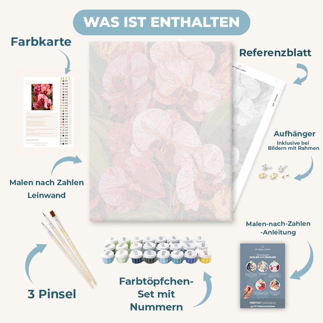 Malen nach Zahlen - Zartrosa Orchidee