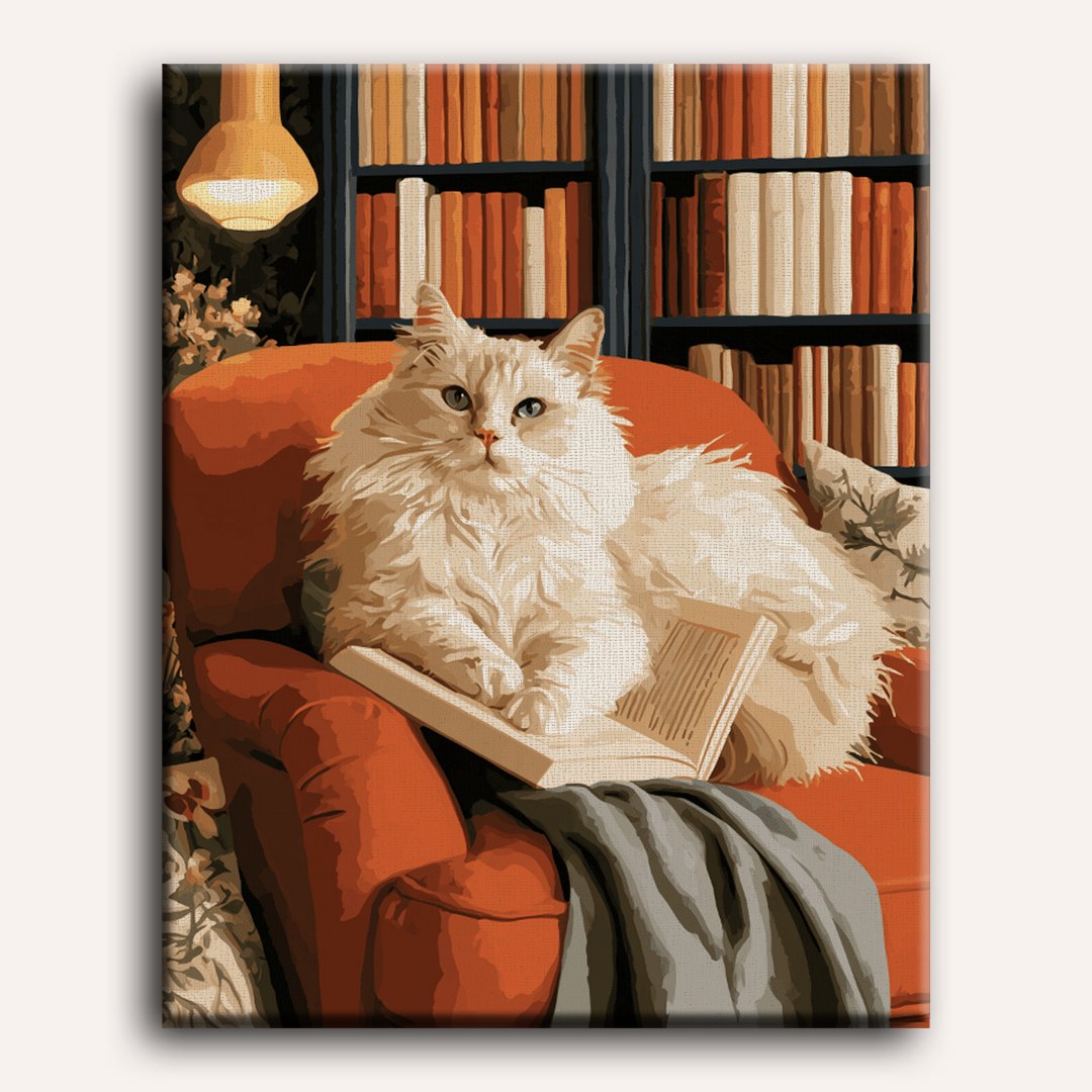 Malen nach Zahlen - Ragdoll-Nickerchen in der Bibliothek