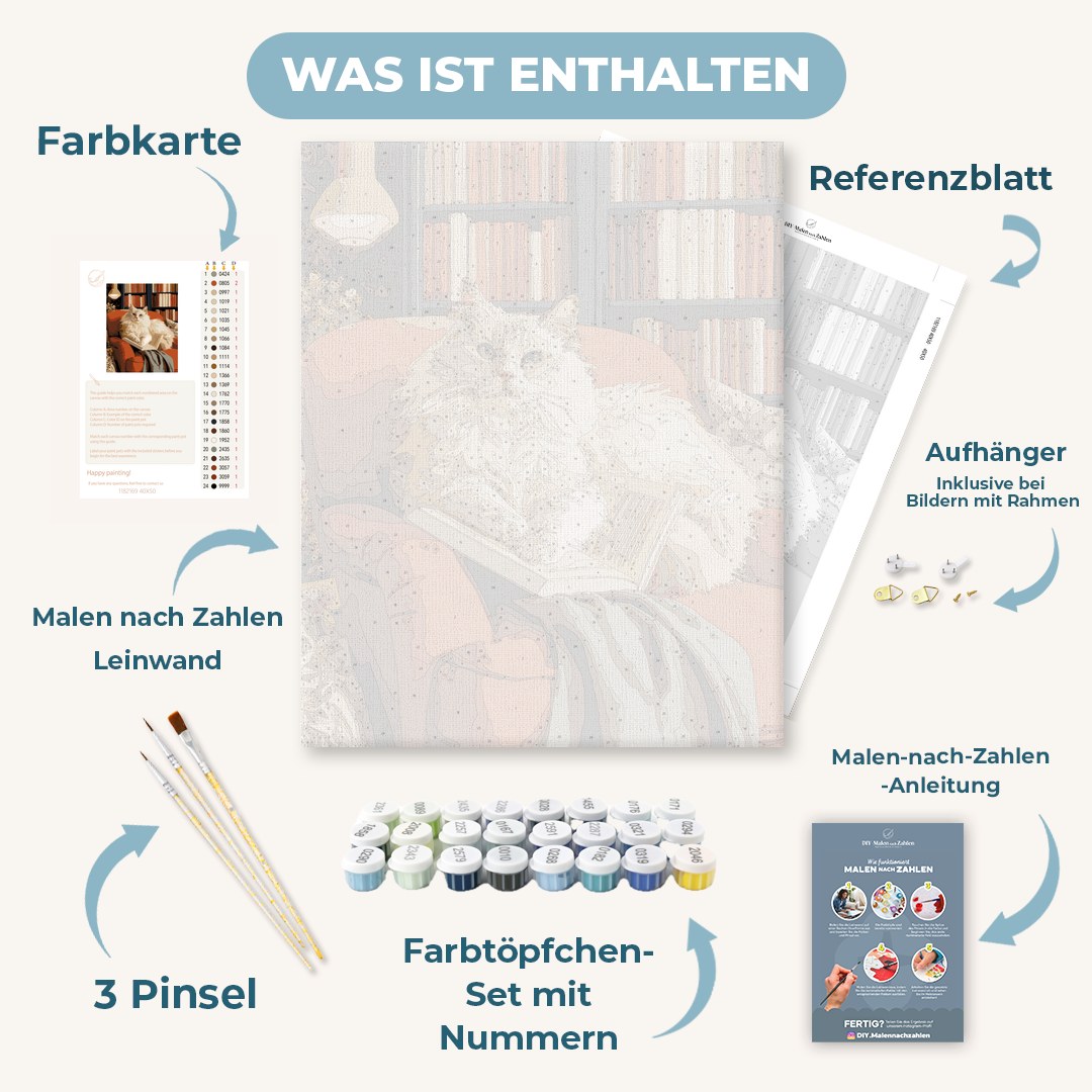 Malen nach Zahlen - Ragdoll-Nickerchen in der Bibliothek