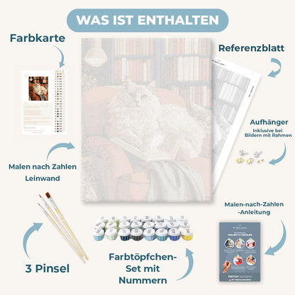 Malen nach Zahlen - Ragdoll-Nickerchen in der Bibliothek