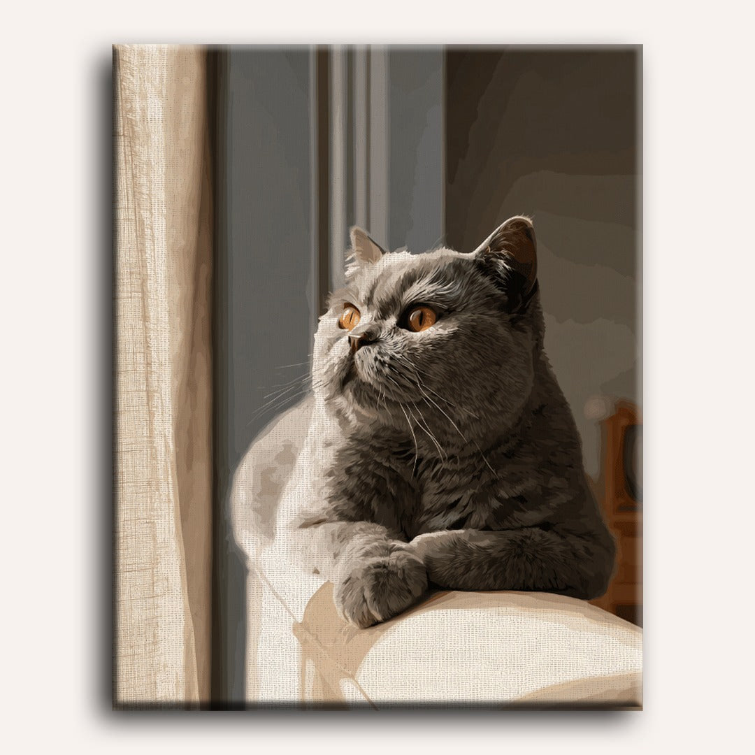 Malen nach Zahlen - Tagtraum der grauen Katze