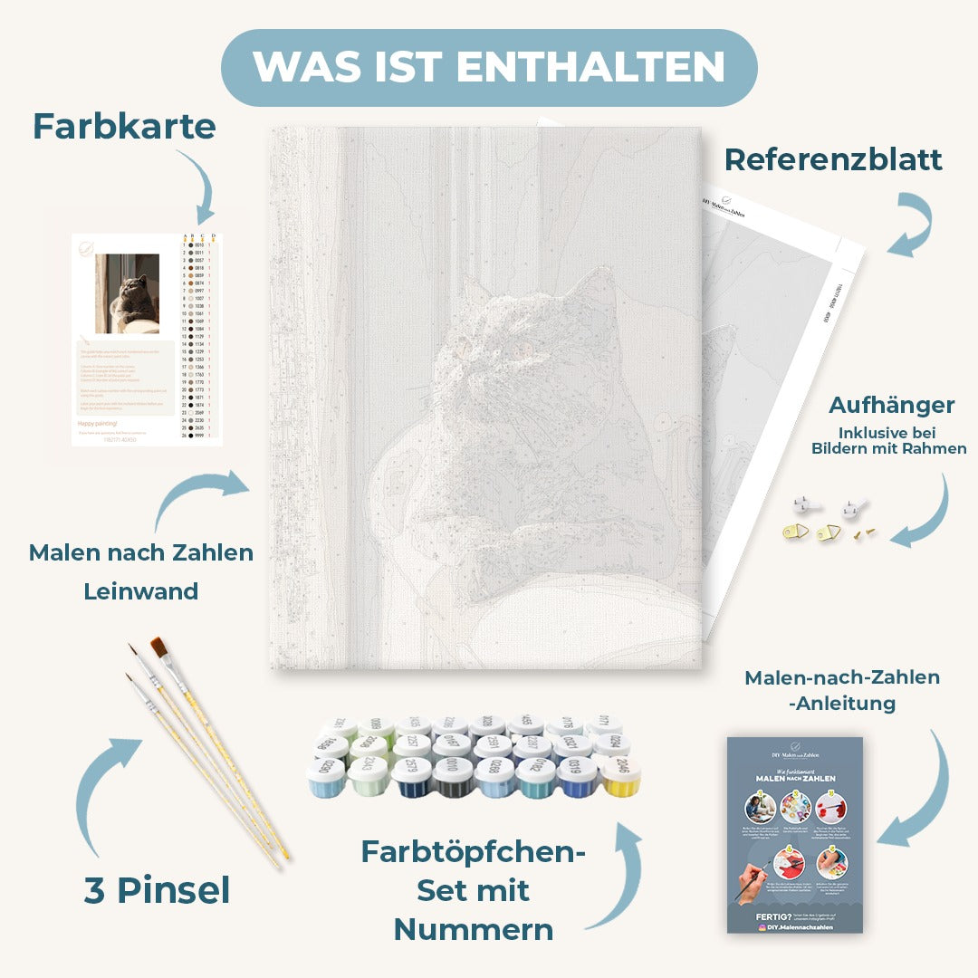 Malen nach Zahlen - Tagtraum der grauen Katze