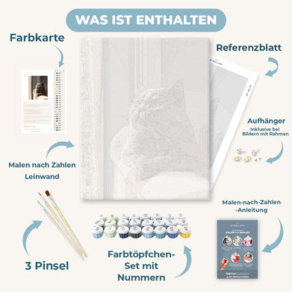 Malen nach Zahlen - Tagtraum der grauen Katze