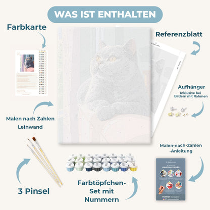 Malen nach Zahlen - Neugierige graue Katze