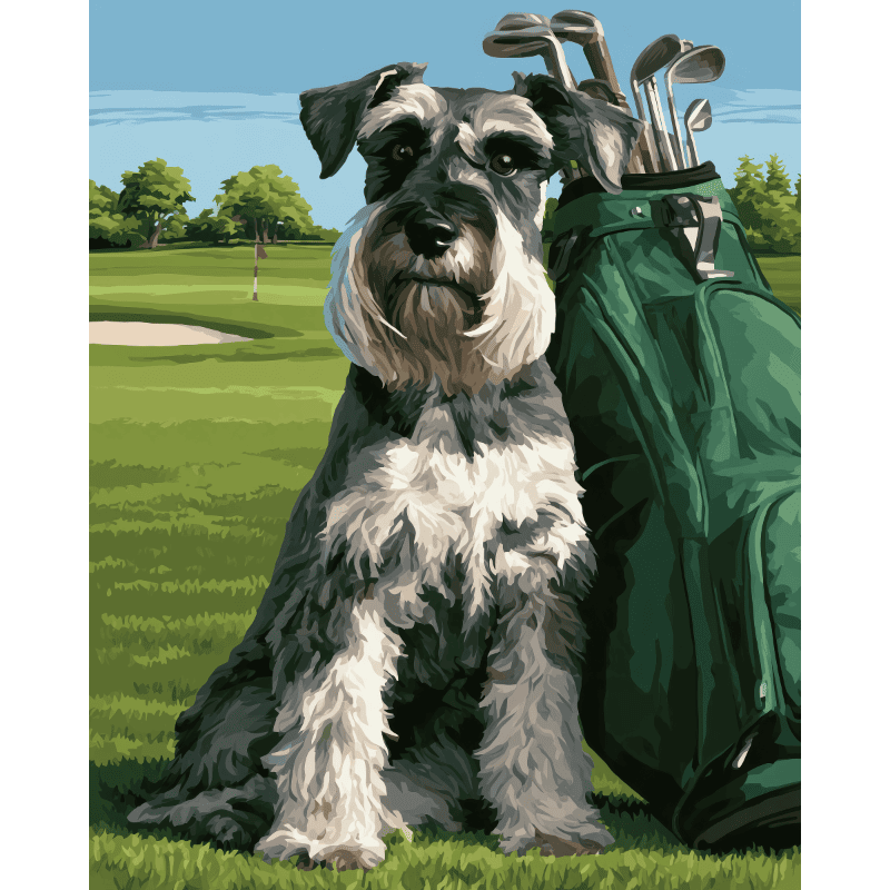 Malen nach Zahlen - Schnauzer auf dem Fairway