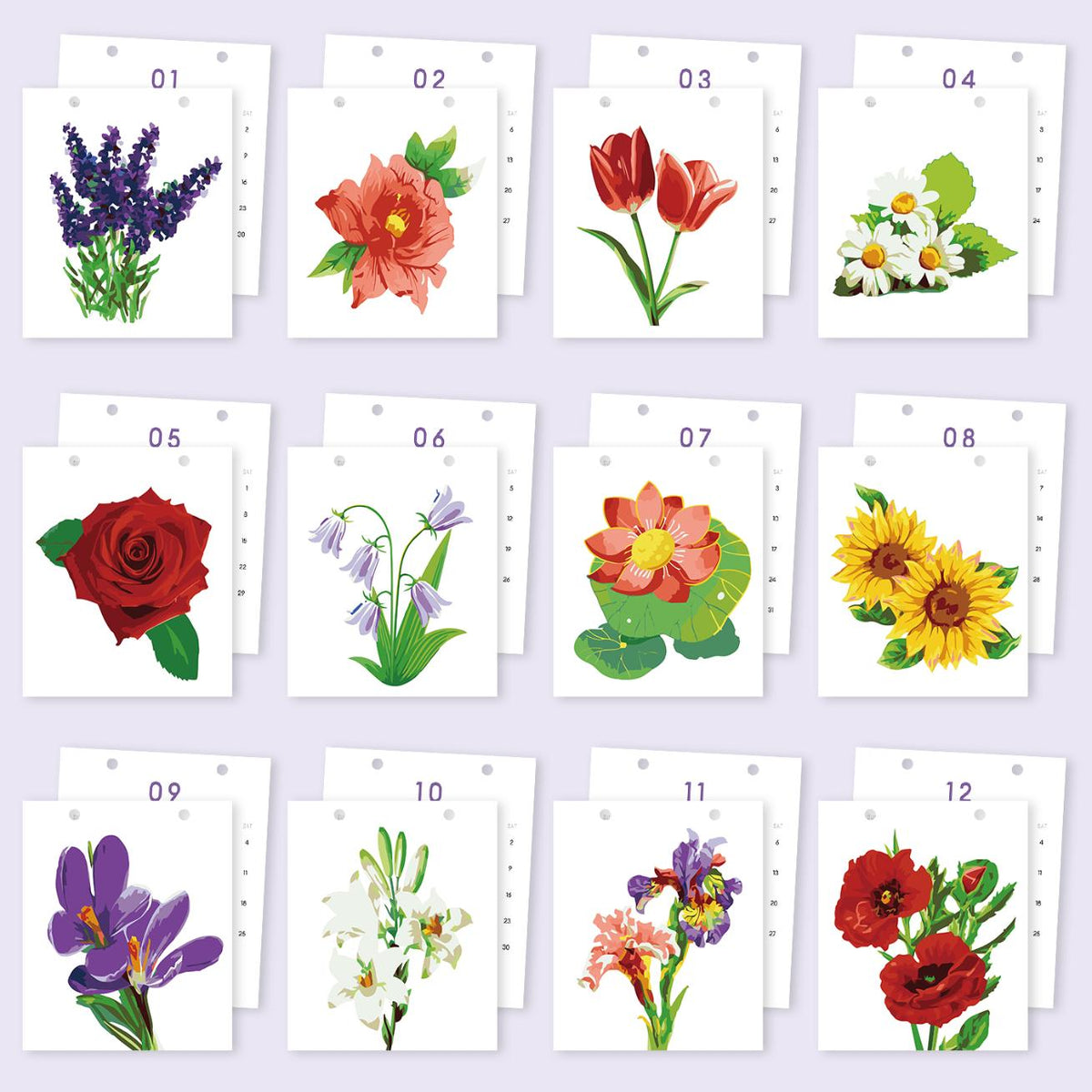 2027 Malen nach Zahlen Tischkalender | Blumen-Edition