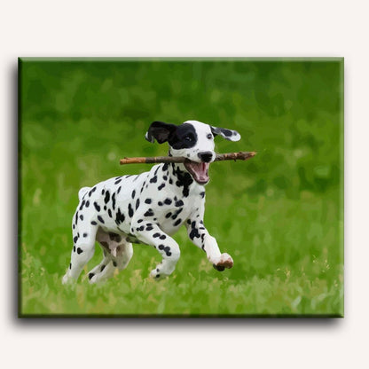 Malen nach Zahlen - Dalmatinerhund