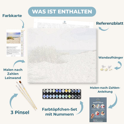 Malen nach Zahlen - Dünen am Sandstrand der Ostsee
