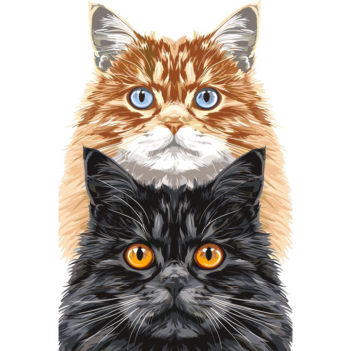 Malen nach Zahlen - Malen nach Zahlen - Cat Duo - Premium Painting