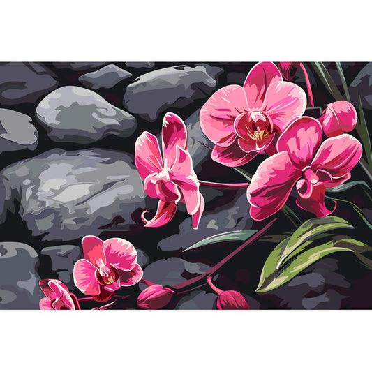 Malen nach Zahlen - Malen nach Zahlen - Orchidee mit Zen Steinen - Premium Painting