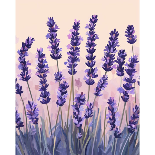Malen nach Zahlen - Malen nach Zahlen - Lavendel