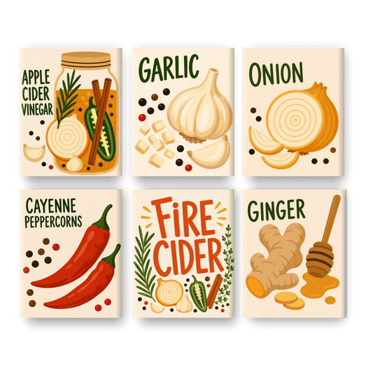 6 Mini-Gemälde | Feuer-Cider Set - Malen nach Zahlen