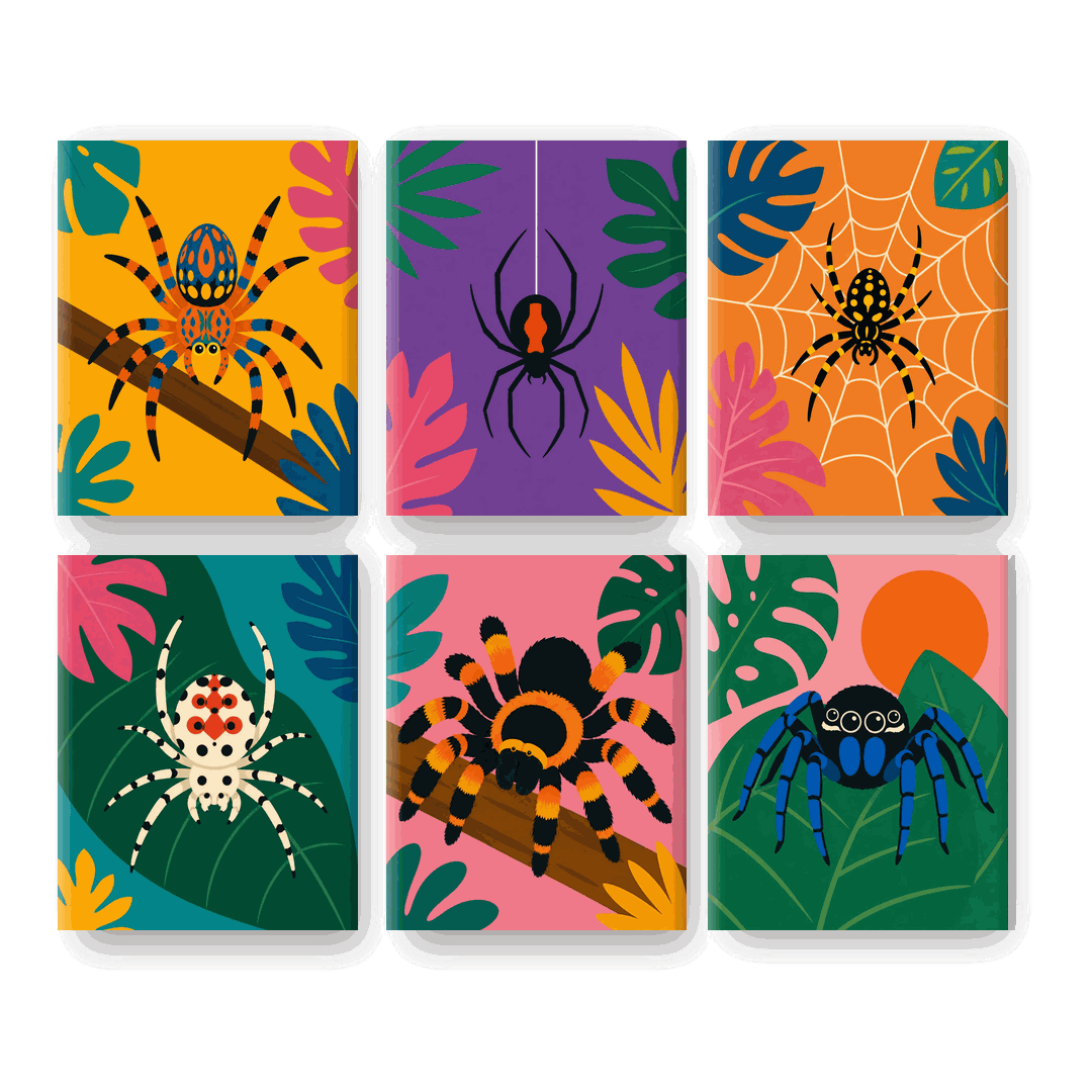 6 Mini-Gemälde | Exotische Spinne Set - Malen nach Zahlen