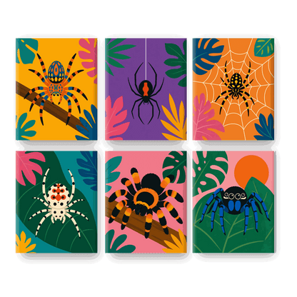 6 Mini-Gemälde | Exotische Spinne Set - Malen nach Zahlen