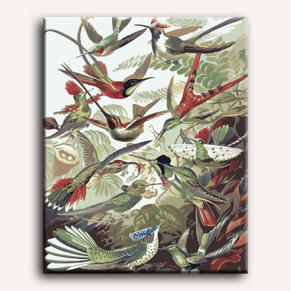 Malen nach Zahlen - Trochilidae–Kolibris von Ernst Haeckel