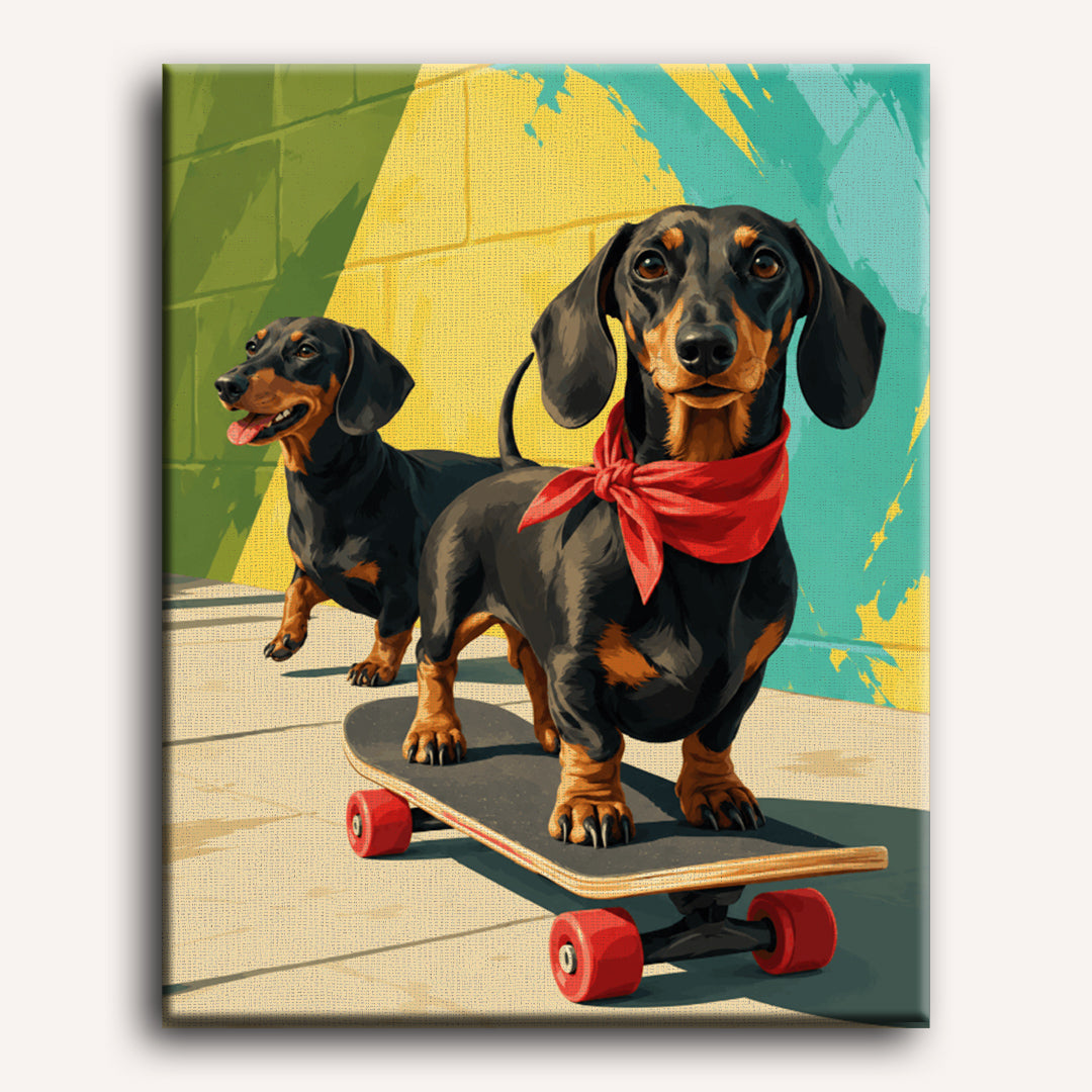 Malen nach Zahlen - Skater-Dackel