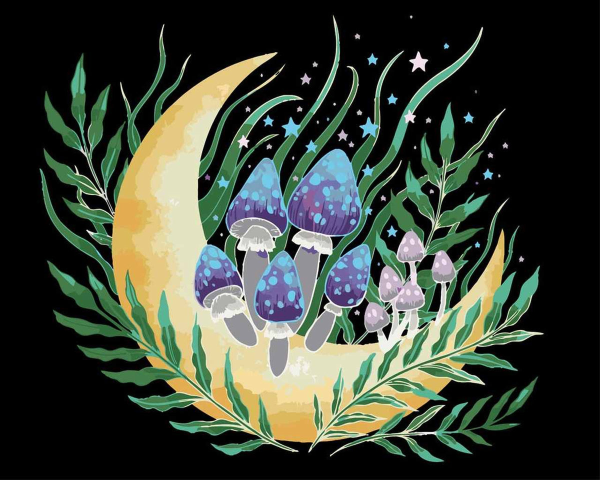 Malen nach Zahlen - Malen nach Zahlen - Pilze auf dem Mond - by Pixie Cold