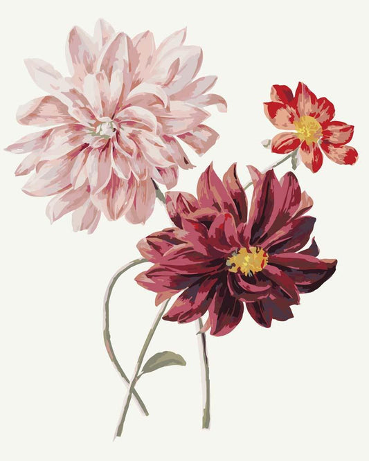 Malen nach Zahlen - Malen nach Zahlen - Dahlias by Willem Hekking