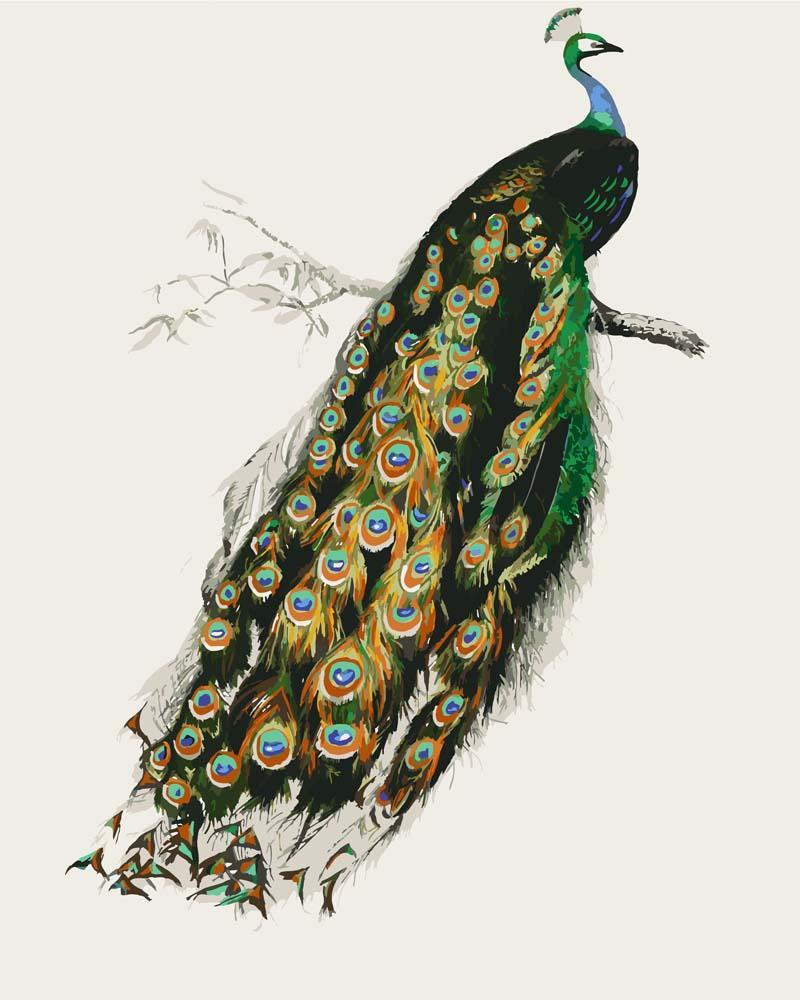 Malen nach Zahlen - Malen nach Zahlen - Indische Pfau (Pavo cristatus) von Charles Dessalines D_ Orbigny