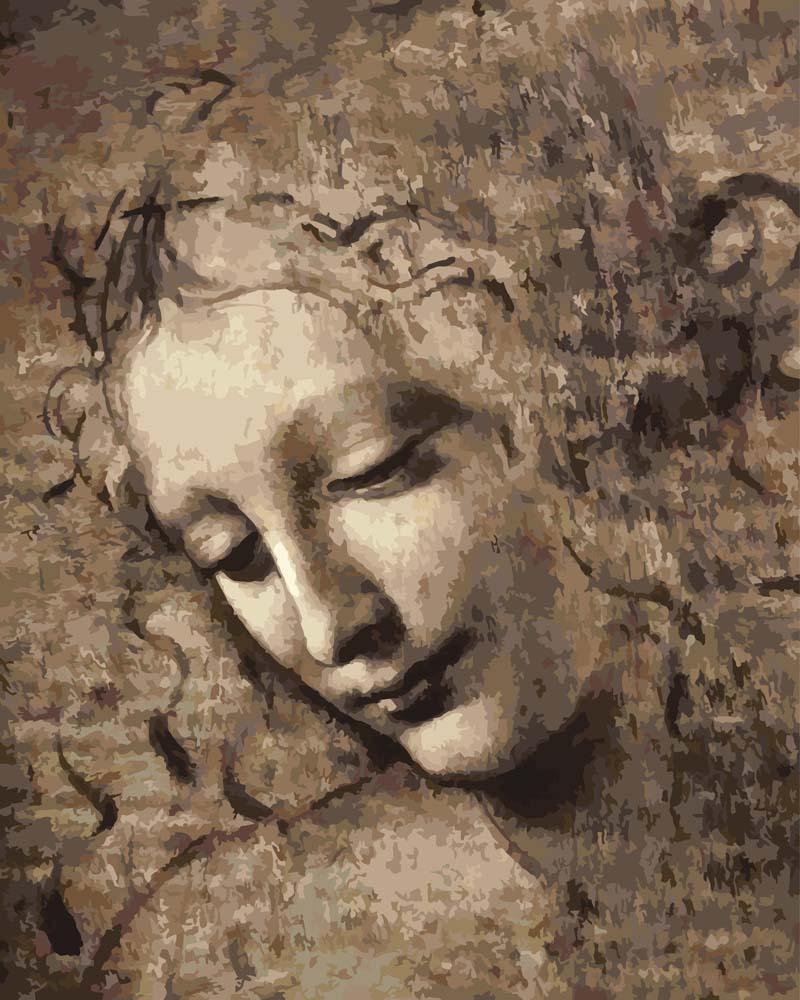 Malen nach Zahlen - Malen nach Zahlen - La Scapigliata - Leonardo da Vinci