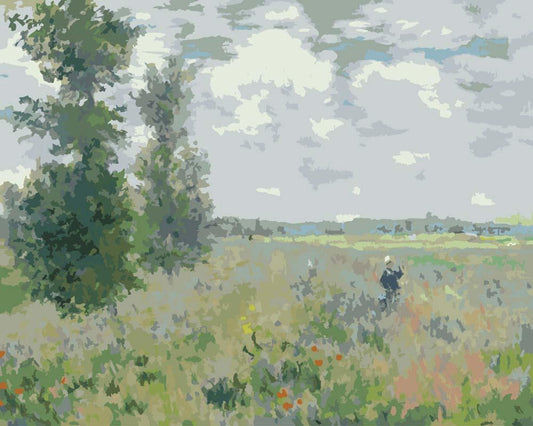 Malen nach Zahlen - Malen nach Zahlen - Mohnfeld bei Argenteuil - Claude Monet