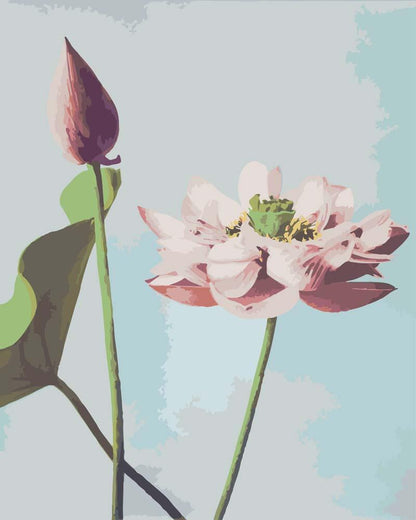 Malen nach Zahlen - Malen nach Zahlen - Schöne fotomechanische Drucke von Lotusblumen (1887-1897) von Ogawa Kazumasa