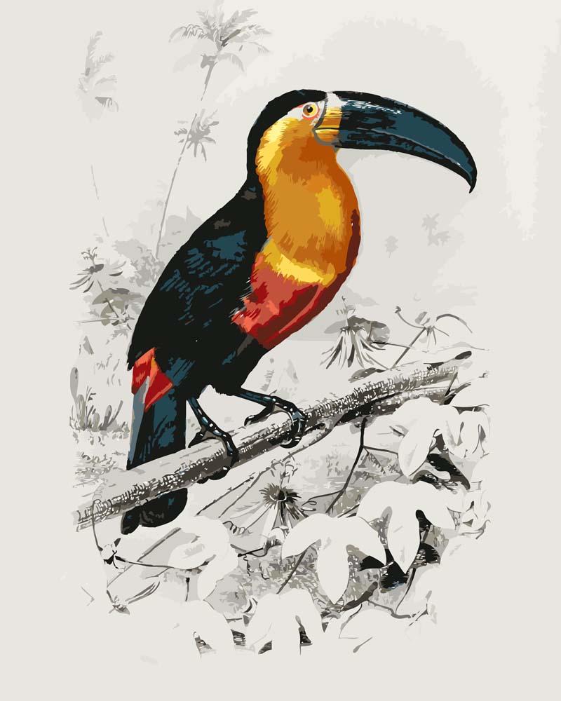 Malen nach Zahlen - Malen nach Zahlen - Tukan (Ramphastos) illustriert von Charles Dessalines D_ Orbigny