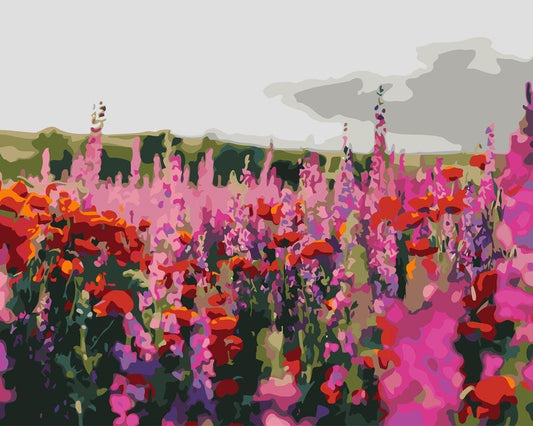 Malen nach Zahlen - Malen nach Zahlen - Mohn und Klatschmohn